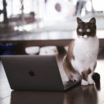 え？「サーバーが見つかりません」ってどうして？